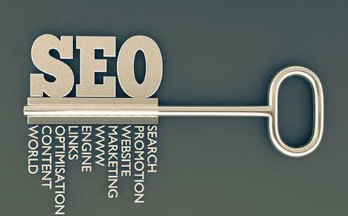 蕪湖網站seo優化如何診斷